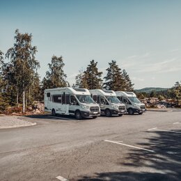 Three Carado motorhomes parked at the edge of a forest, shown from the front and the side