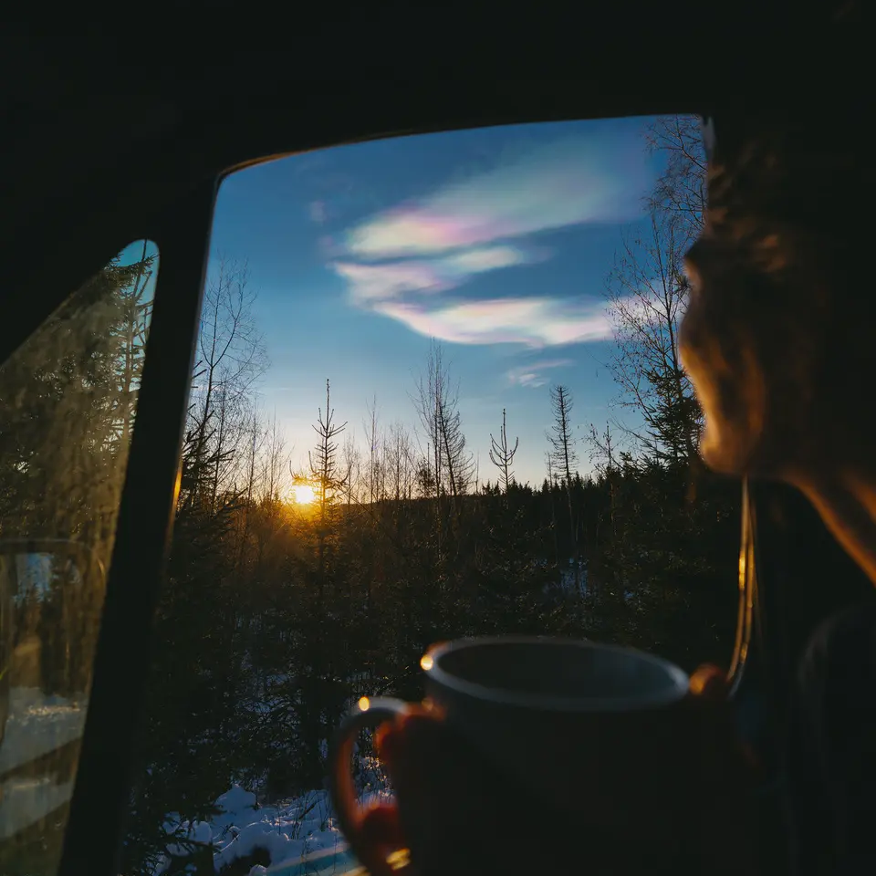 View of a forest and iridescent clouds